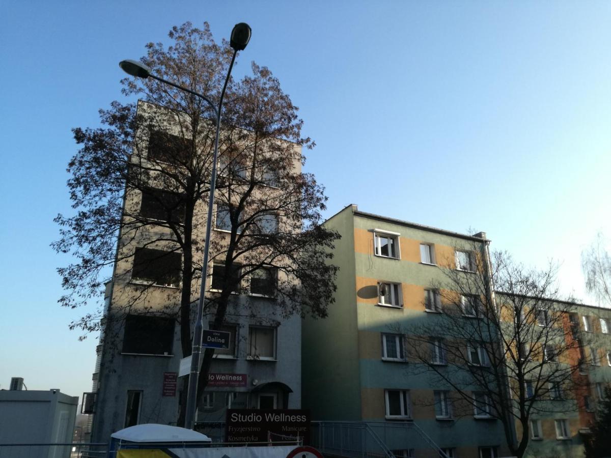Dolina *